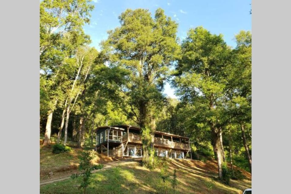 LA CASA EN EL BOSQUE con vista al Río Apartment in Los Ríos, Chile