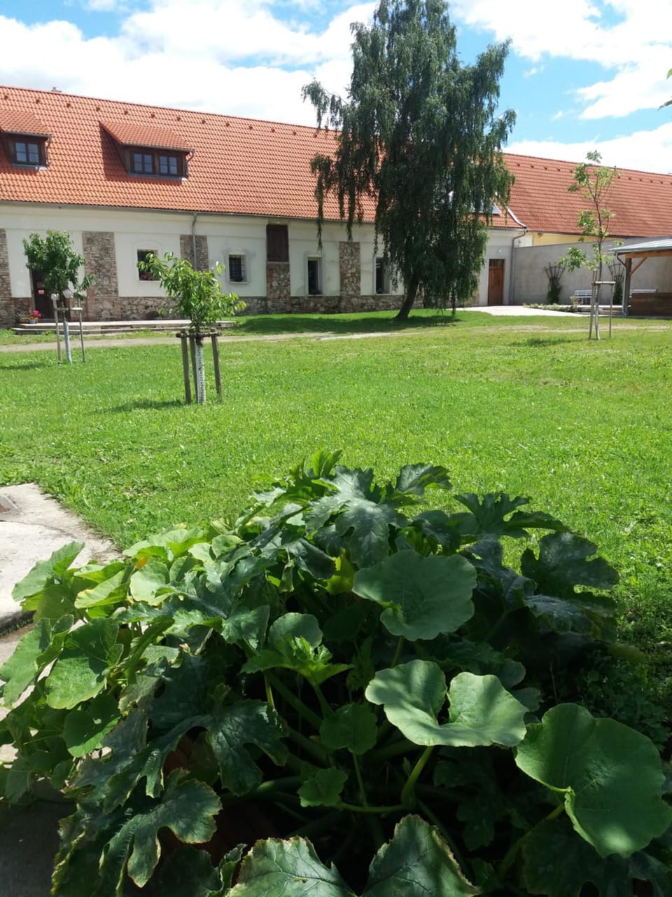 Property building, Garden