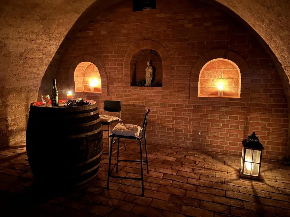 Prázdninový dům na Pálavě s vinným sklepem House in South Moravian Region