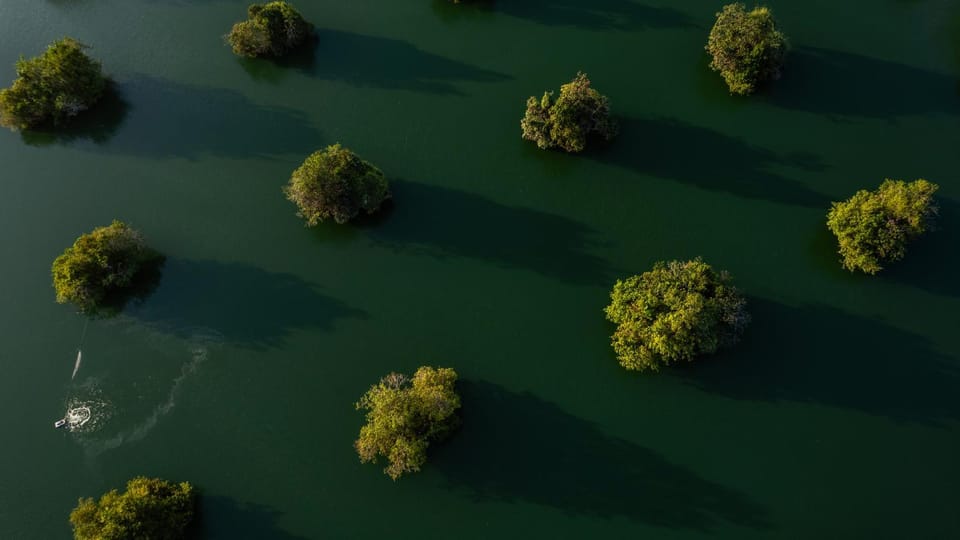 Natural landscape