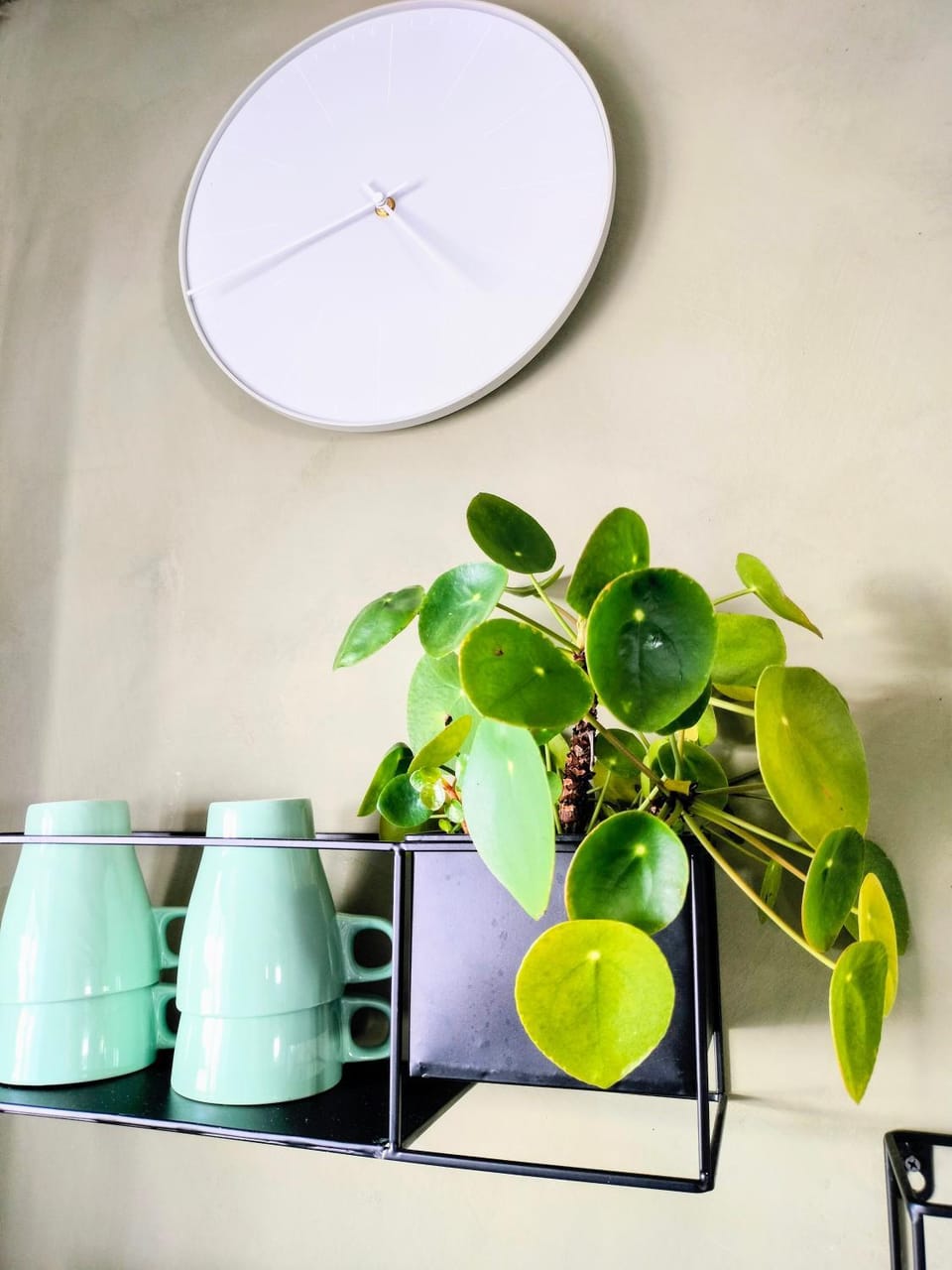 Decorative detail