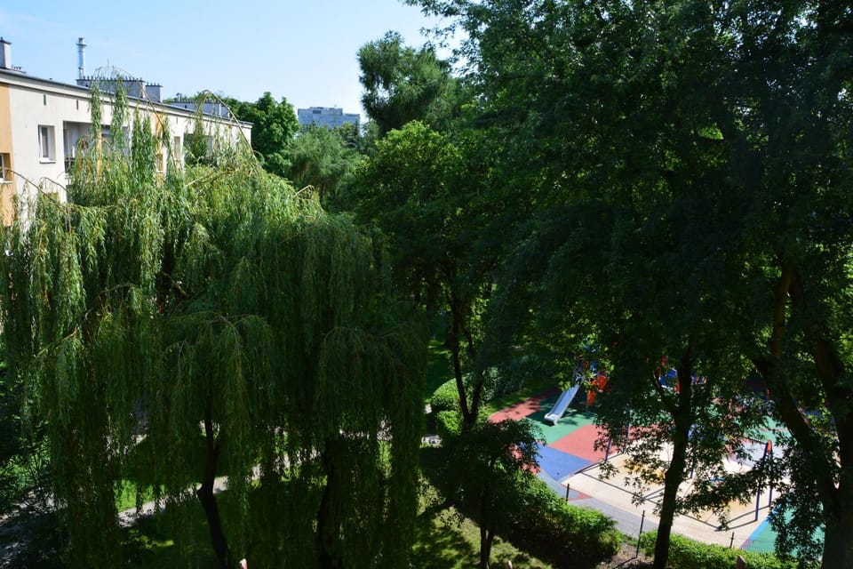 Children play ground
