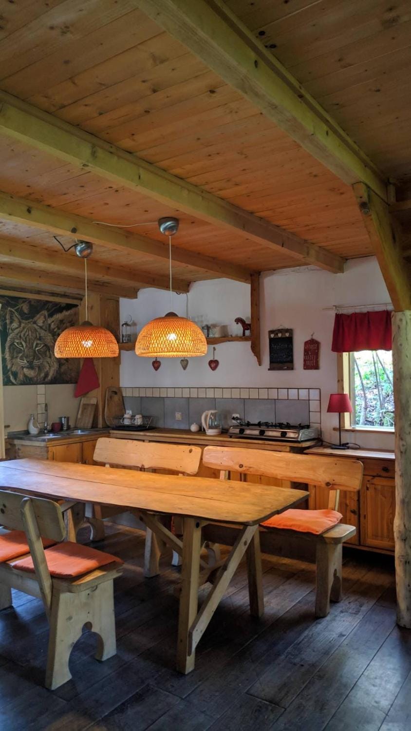 Kitchen or kitchenette, Dining area