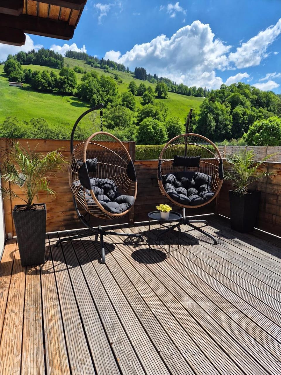 Natural landscape, Garden, Garden view, sunbed