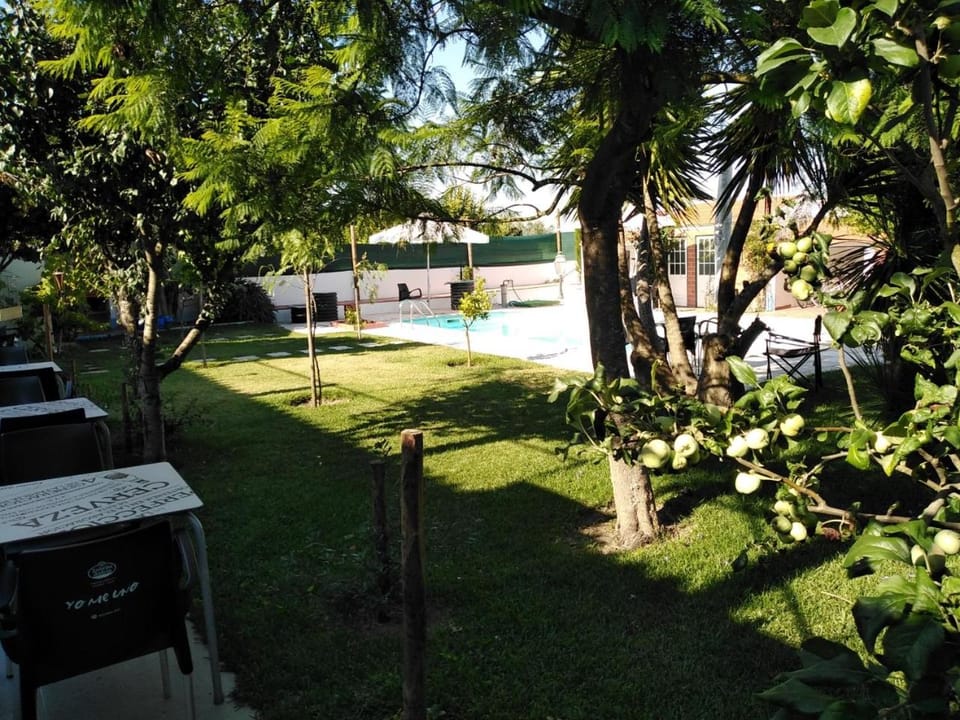 Garden, Balcony/Terrace, Garden view, Swimming pool