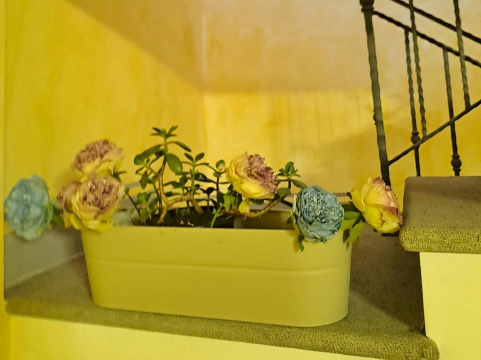 Casa Flora House in Umbria