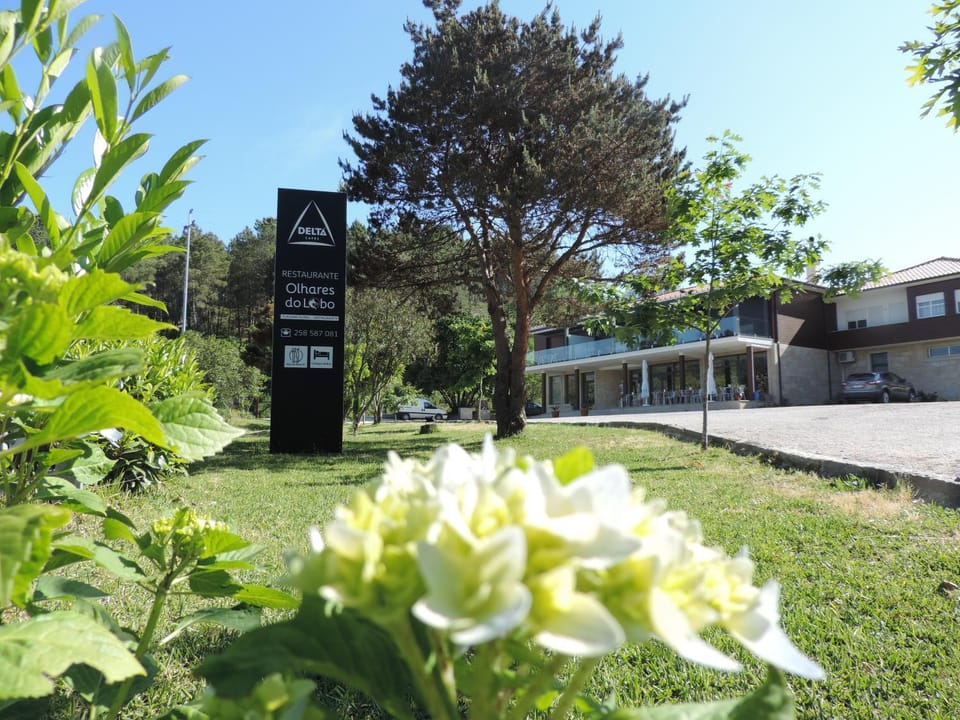 Olhares do Lobo Farm Stay in Viana do Castelo District, Portugal