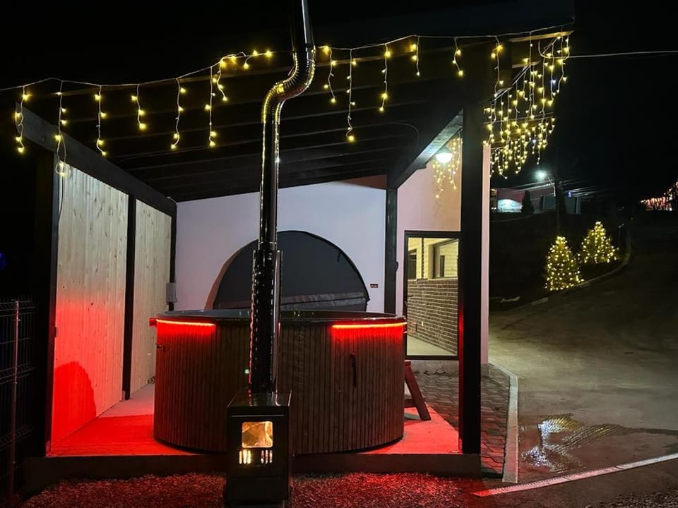 Pensiunea Auras Bed and Breakfast in Romania