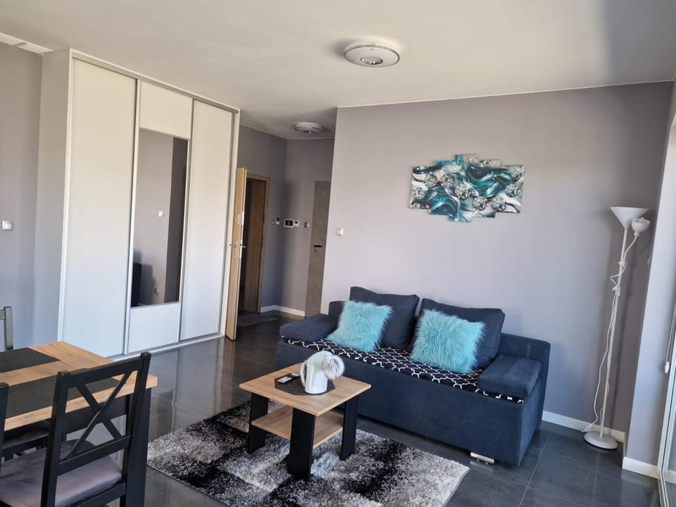 TV and multimedia, Living room, Seating area, Dining area, locker, wardrobe
