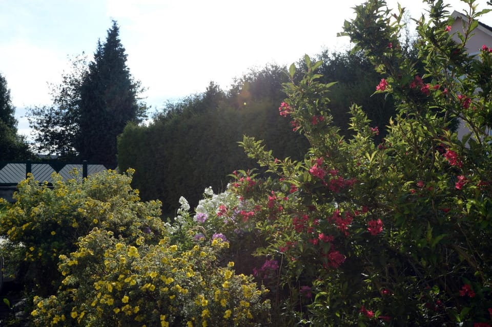 Garden, Garden view
