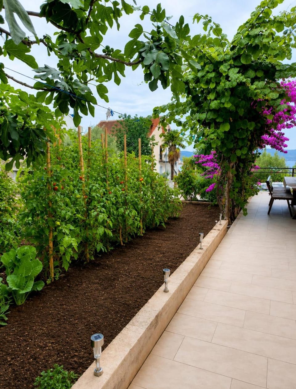 Patio, Garden, Garden view, acessibility