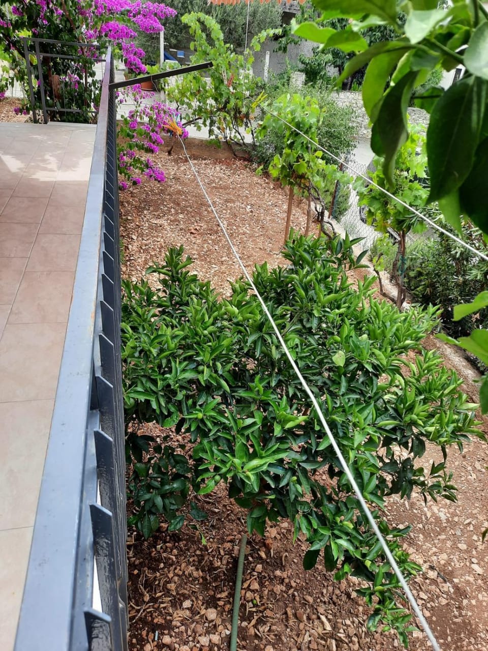 Garden, Garden view