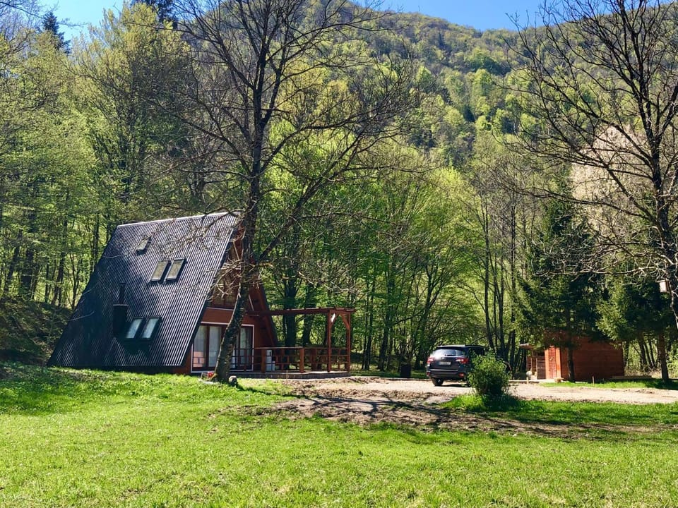 Property building, Garden