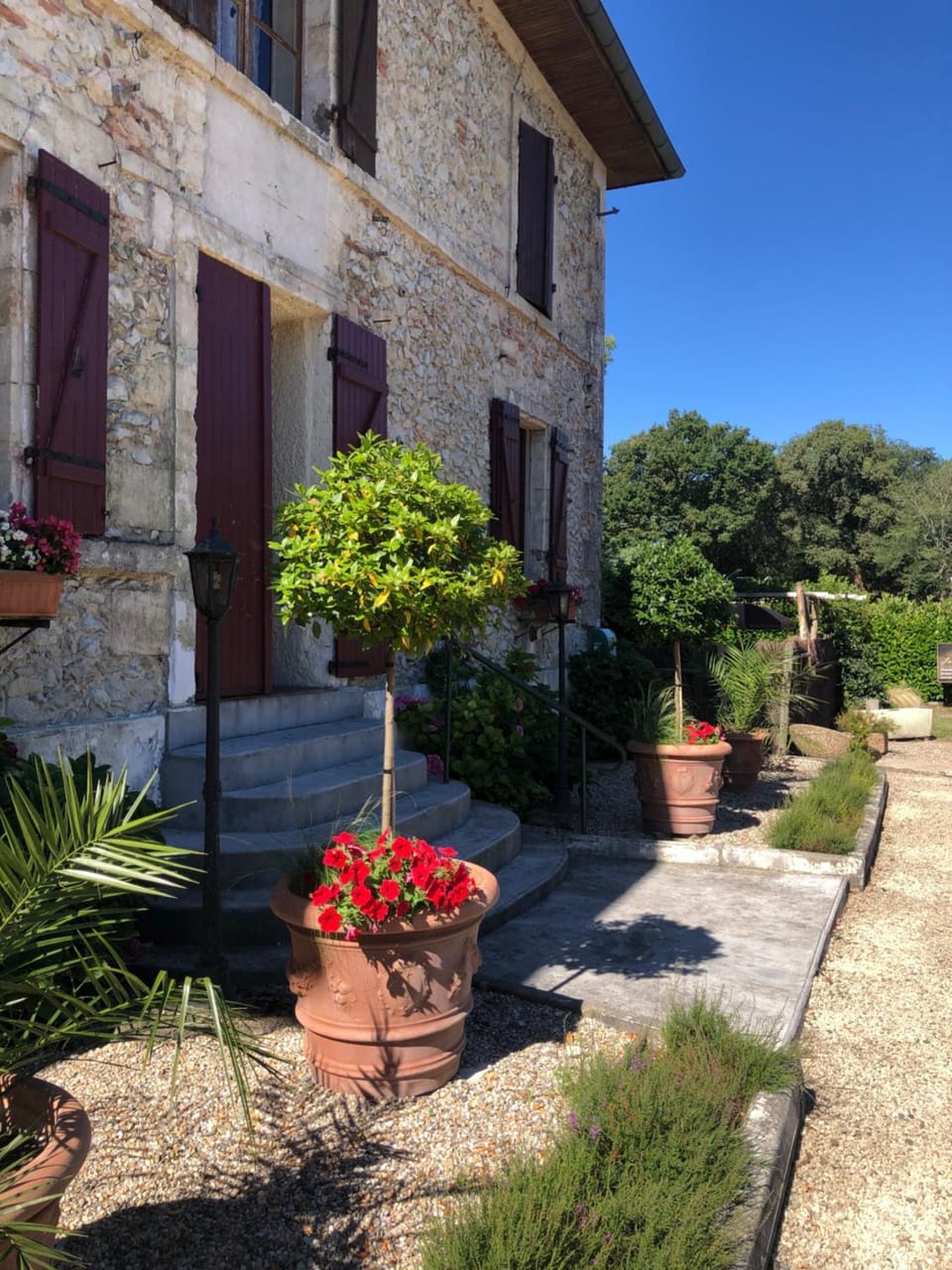 Property building, Facade/entrance, Garden