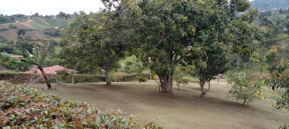 Casa De Campo House in Antioquia