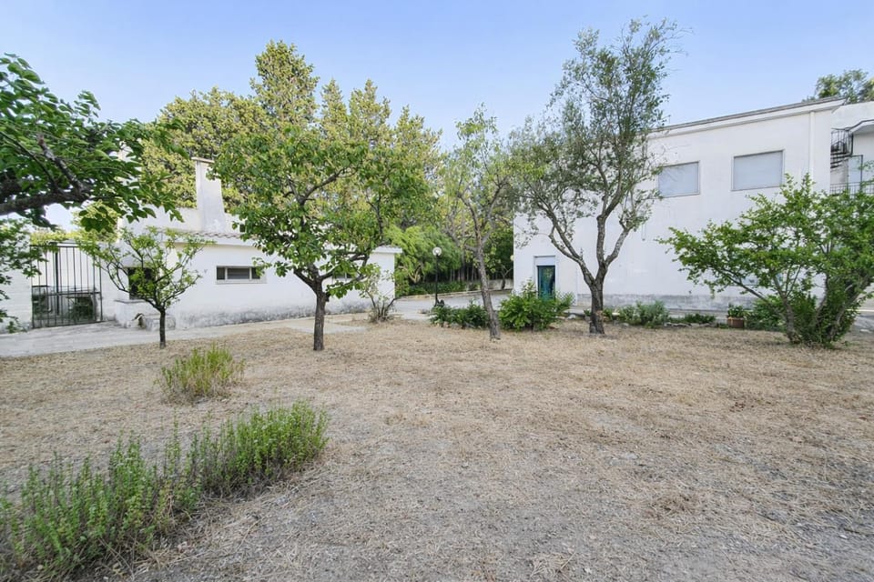 Garden, Garden view