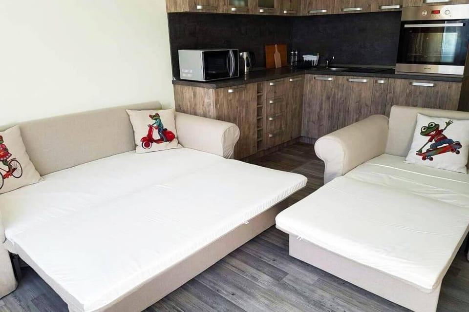 Living room, bunk bed