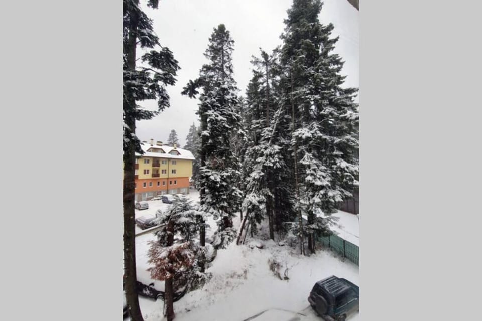 Winter, City view