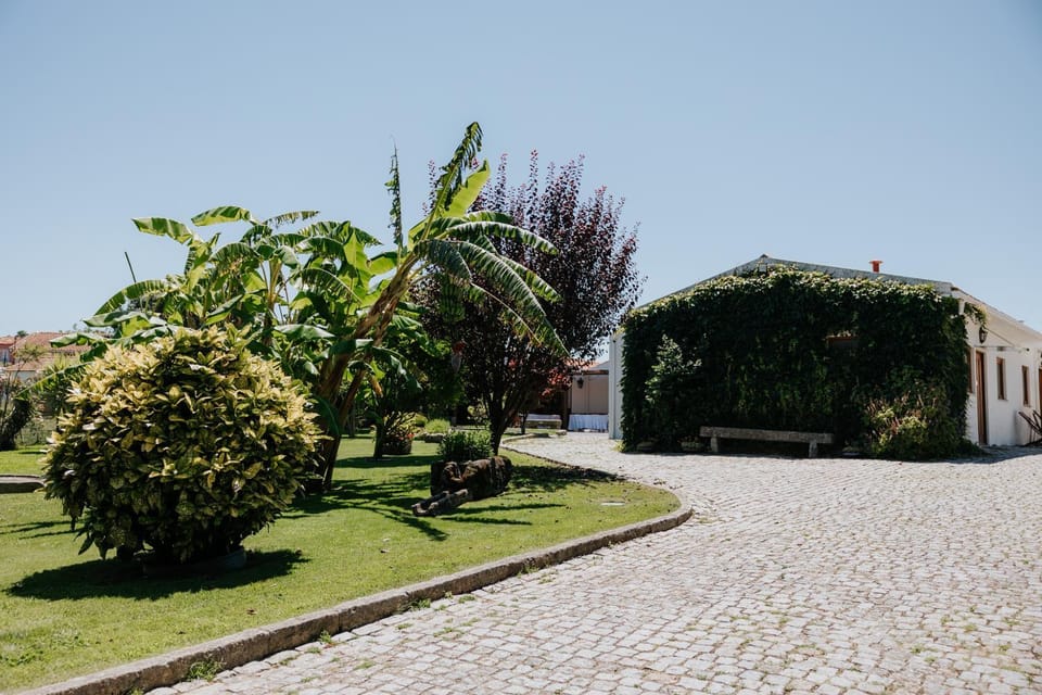 Casa dos meus avós -Villas - Gaia & Porto House in Vila Nova de Gaia