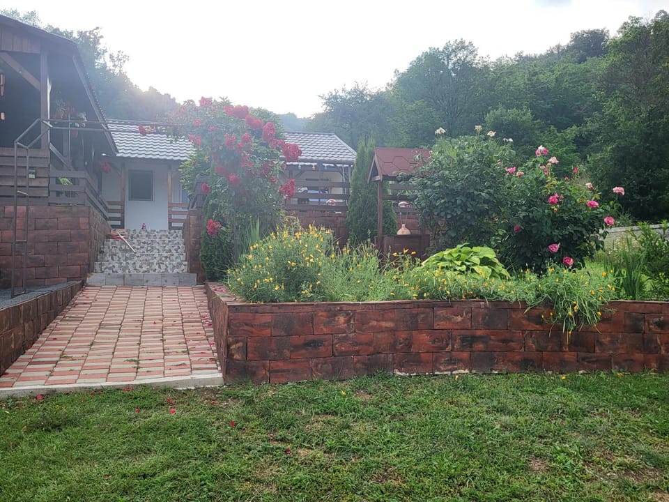 Casa Claudiu House in Serbia