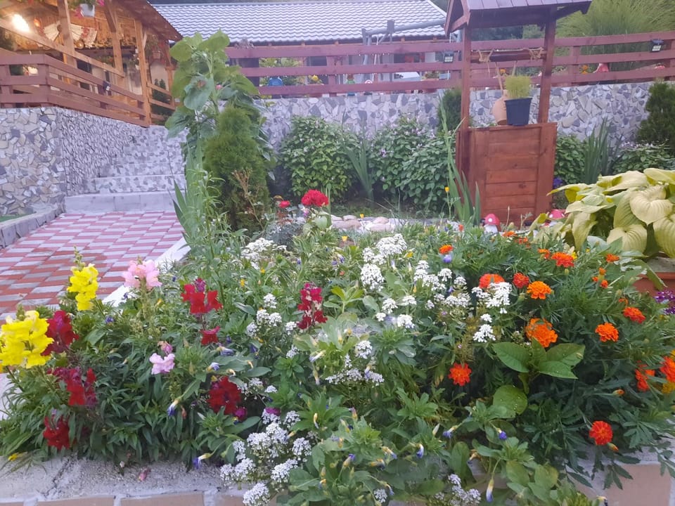 Casa Claudiu House in Serbia