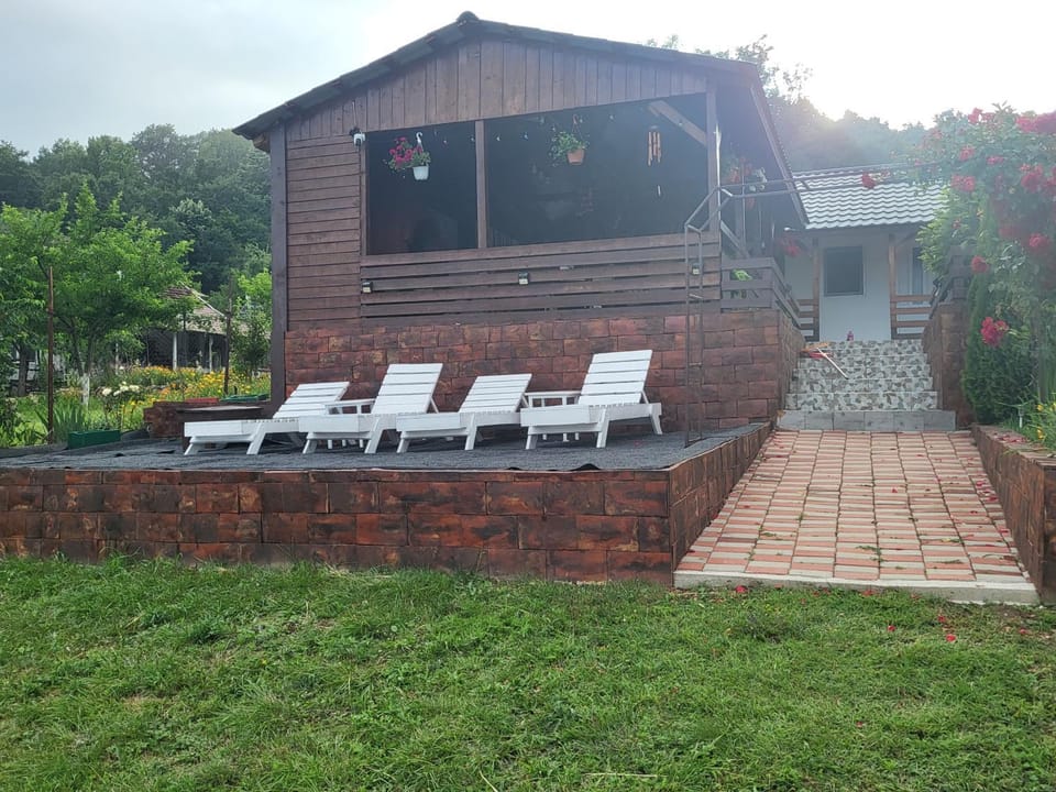 Casa Claudiu House in Serbia