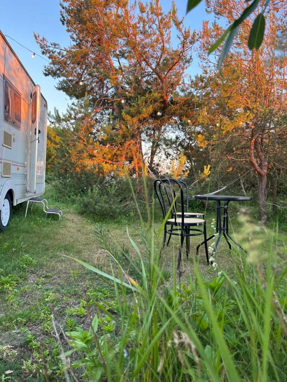 Vintage Nest by the Sea Campground/ 
RV Resort in Latvia