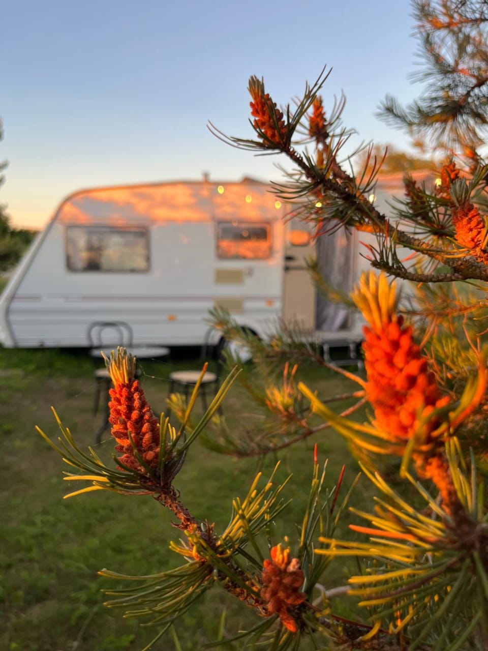 Vintage Nest by the Sea Campground/ 
RV Resort in Latvia