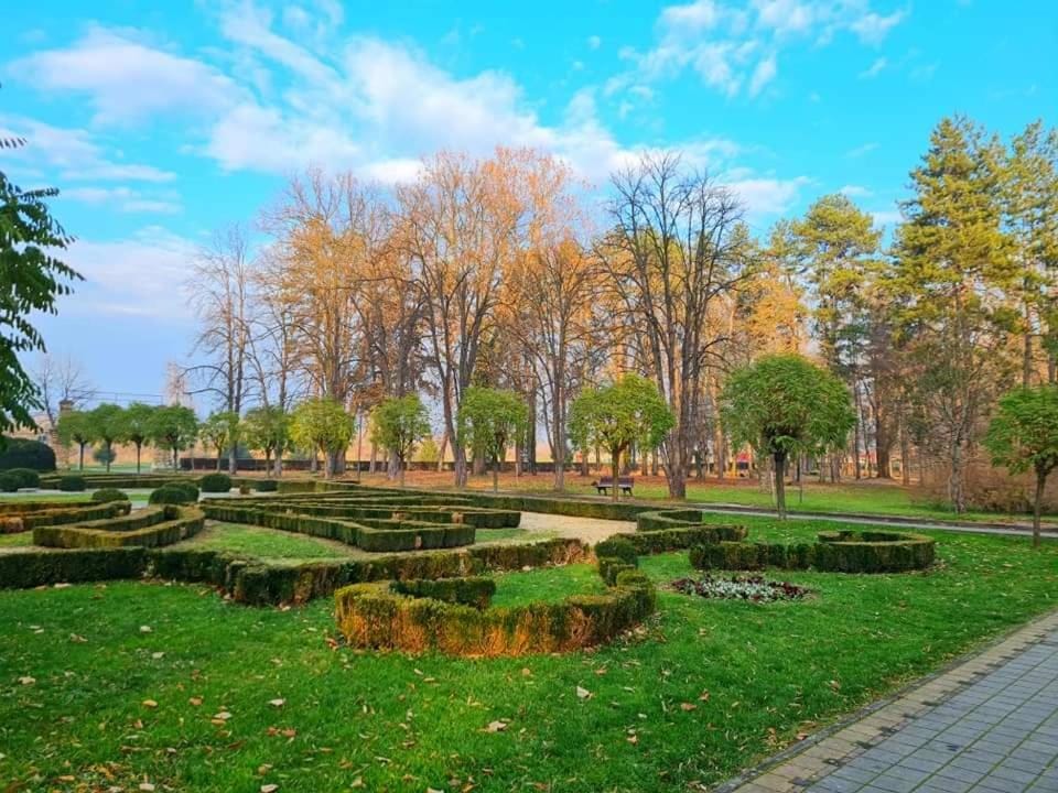 Studio apartman Elena - Banja Koviljača Apartment in Serbia