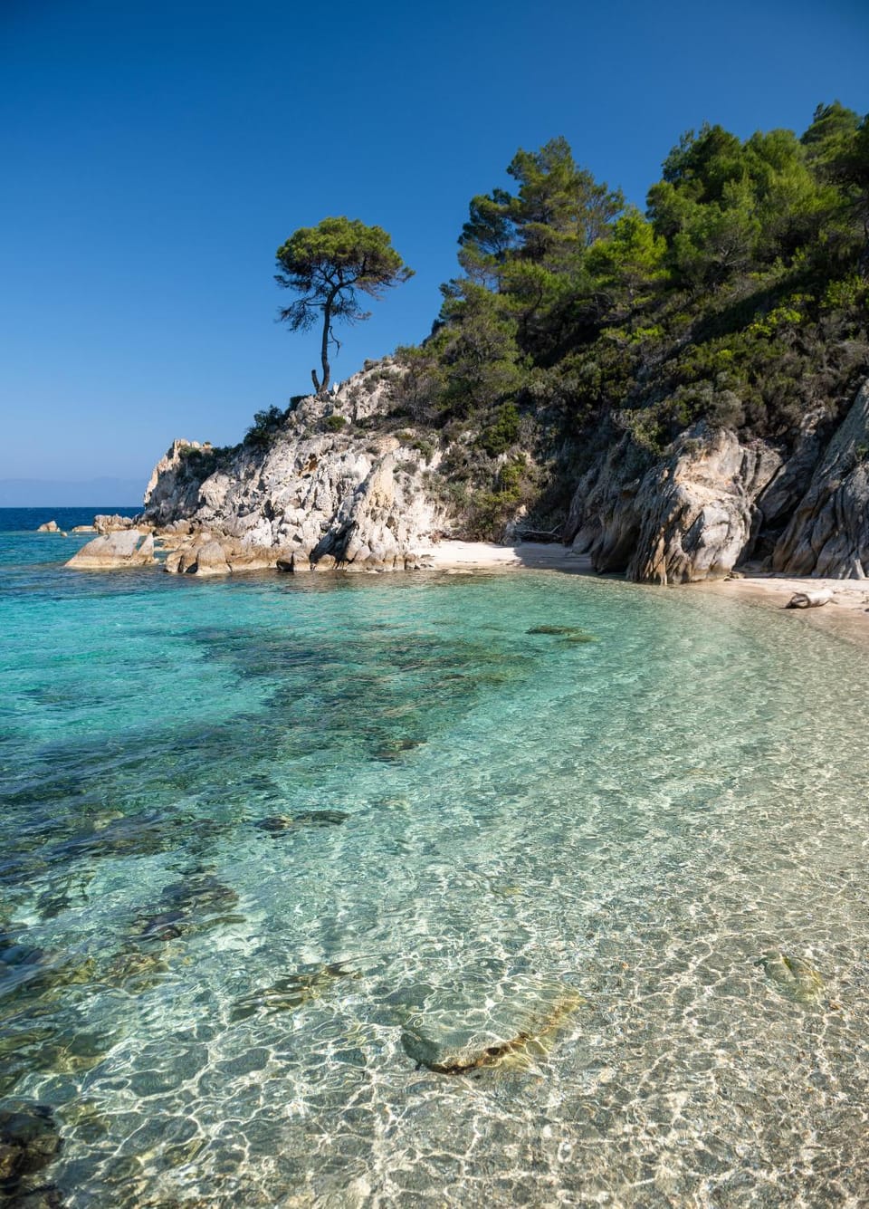 Natural landscape, Beach