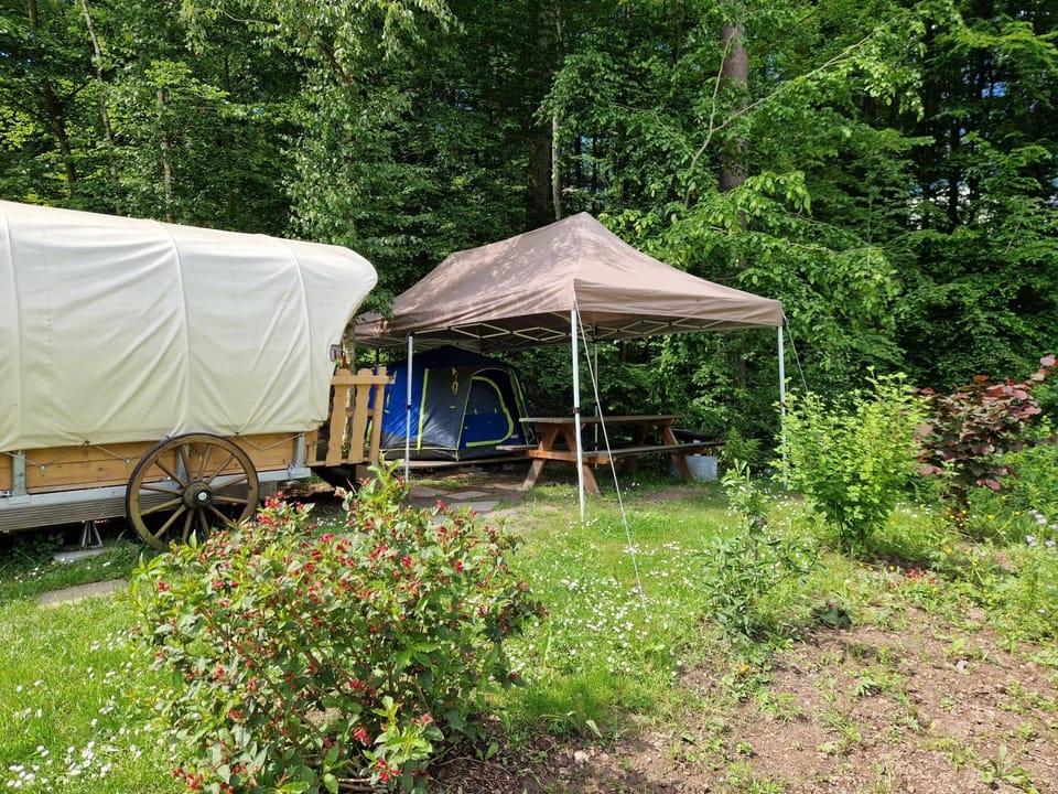 Little Ranch am Badesee Campground/ 
RV Resort in Thuringia, Germany