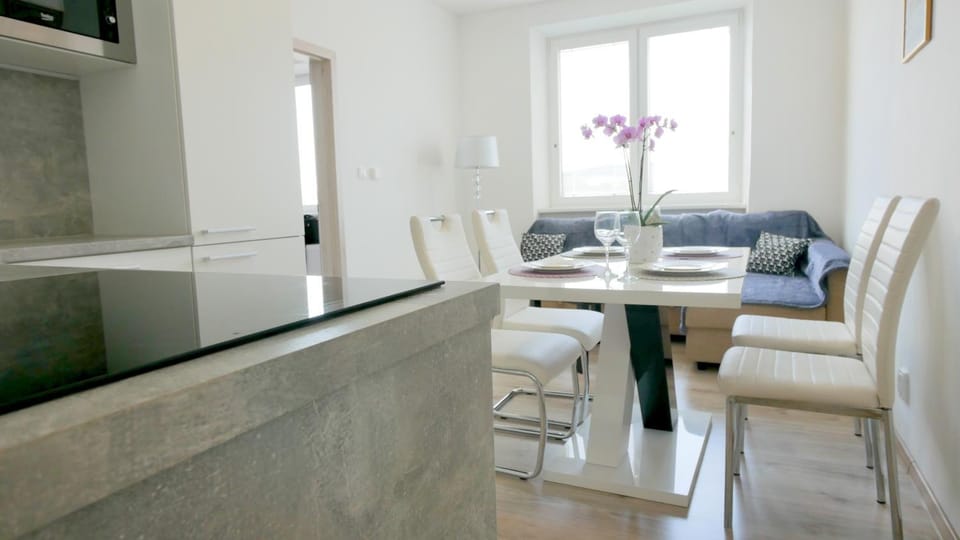 Apartmán u Louckého kláštera 2 plus KK Apartment in South Moravian Region