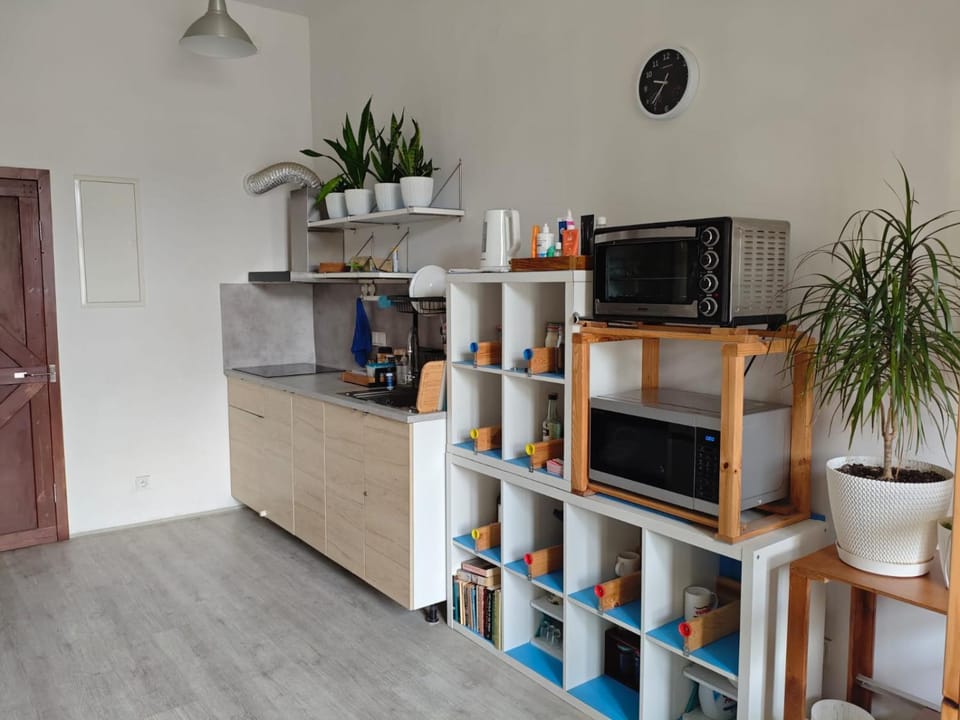 Kitchen or kitchenette, kitchen