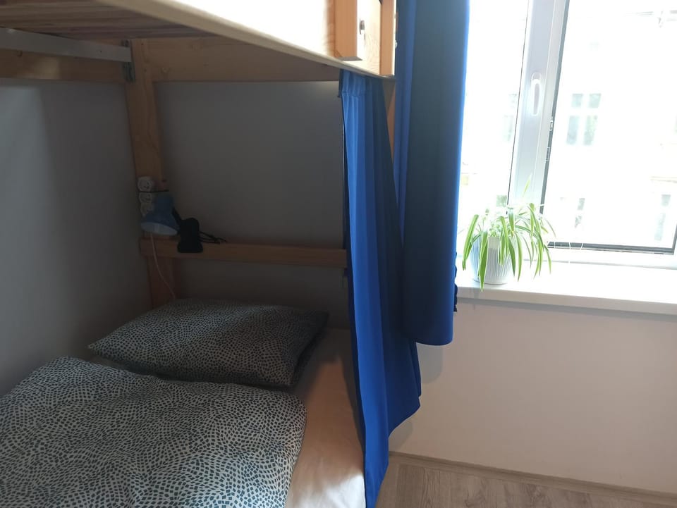 bunk bed