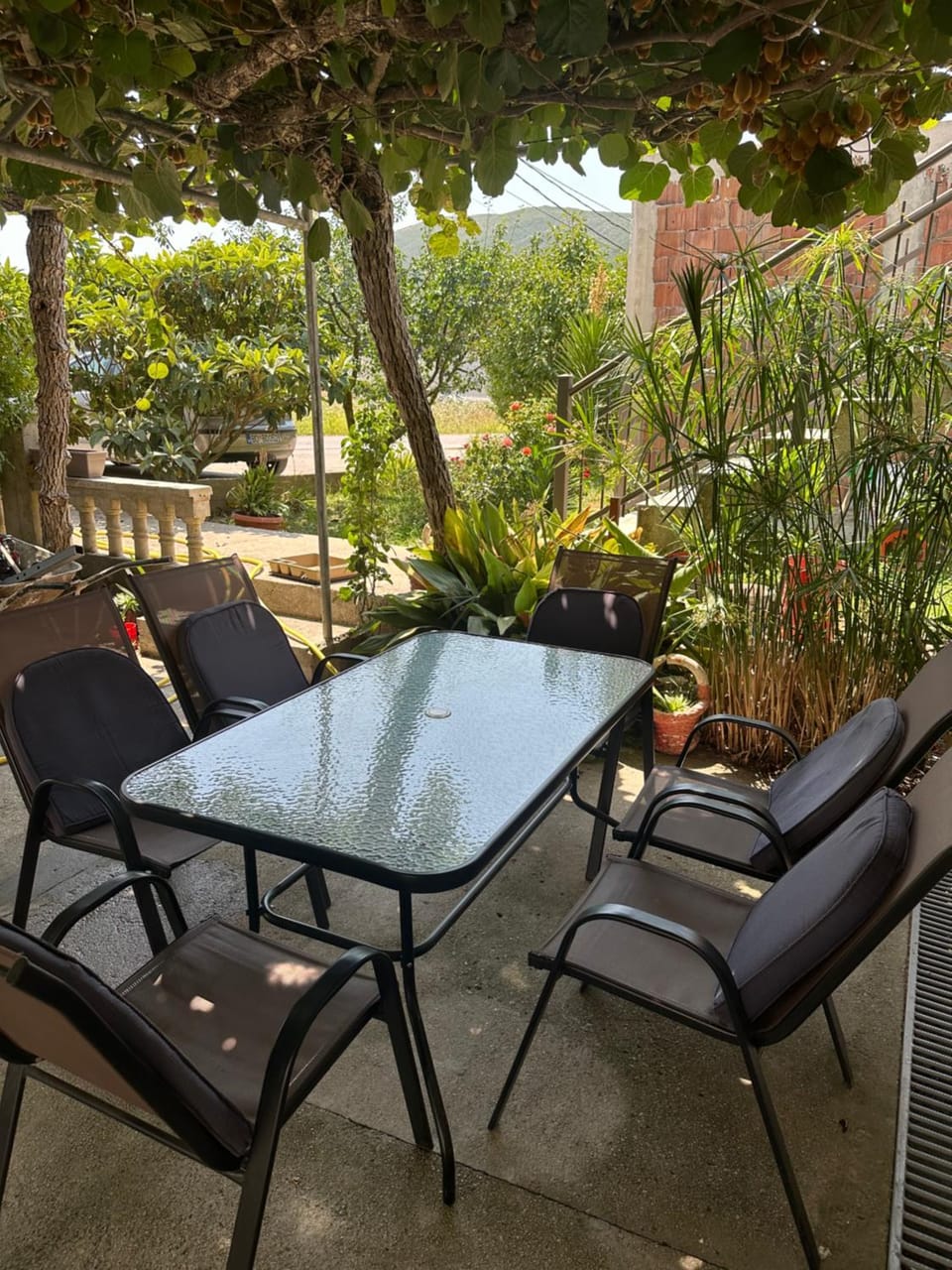 Apartmani Čavor Apartment in Budva Municipality