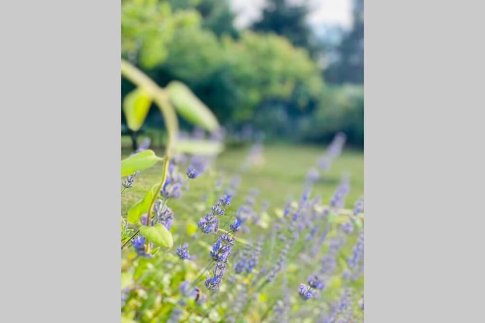 Chez Dedette House in Centre-Val de Loire