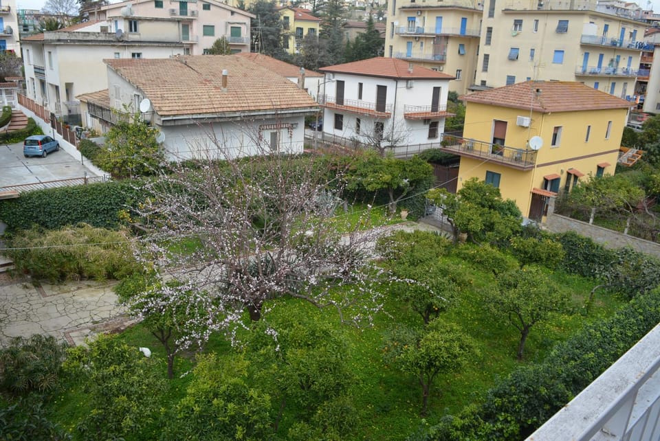 Neighbourhood, Garden view