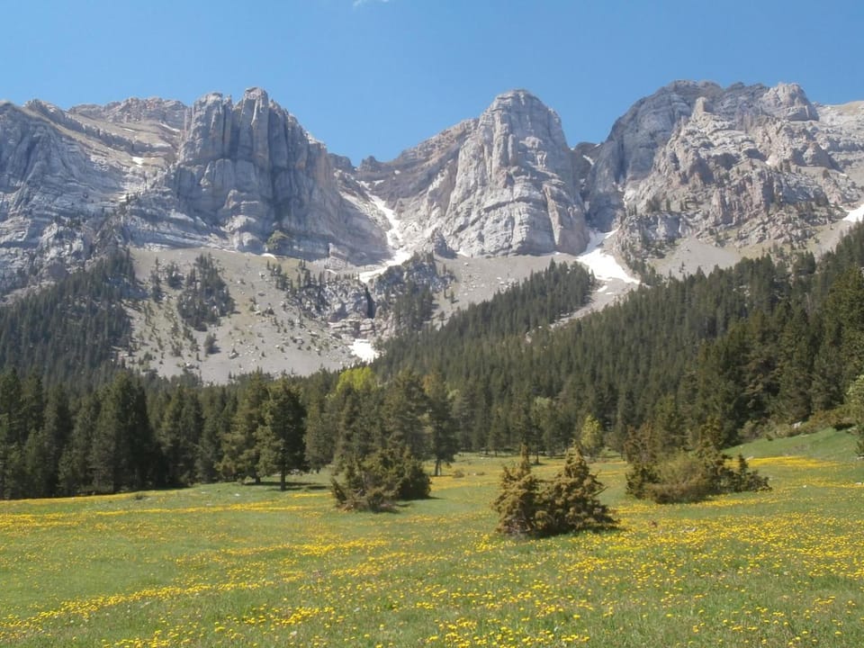 Fishing, Hiking, Cycling, Sports, children