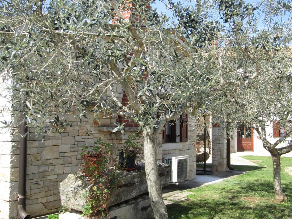 Property building, Spring, Day, Garden, Garden view