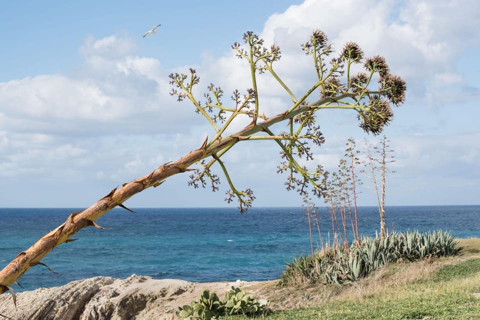 Natural landscape