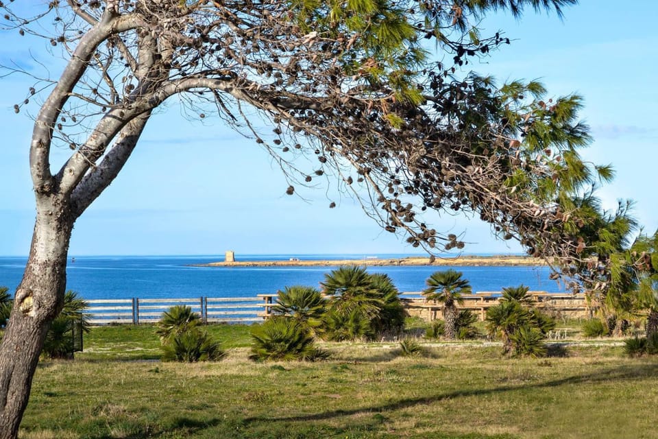 Natural landscape, Garden, Sea view