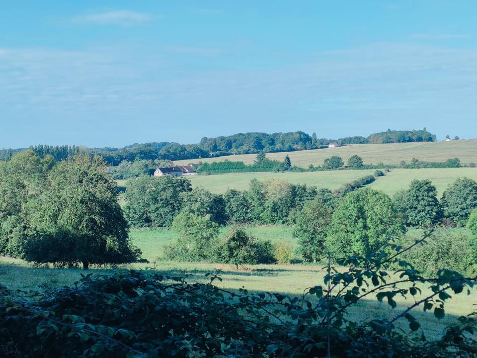 Natural landscape