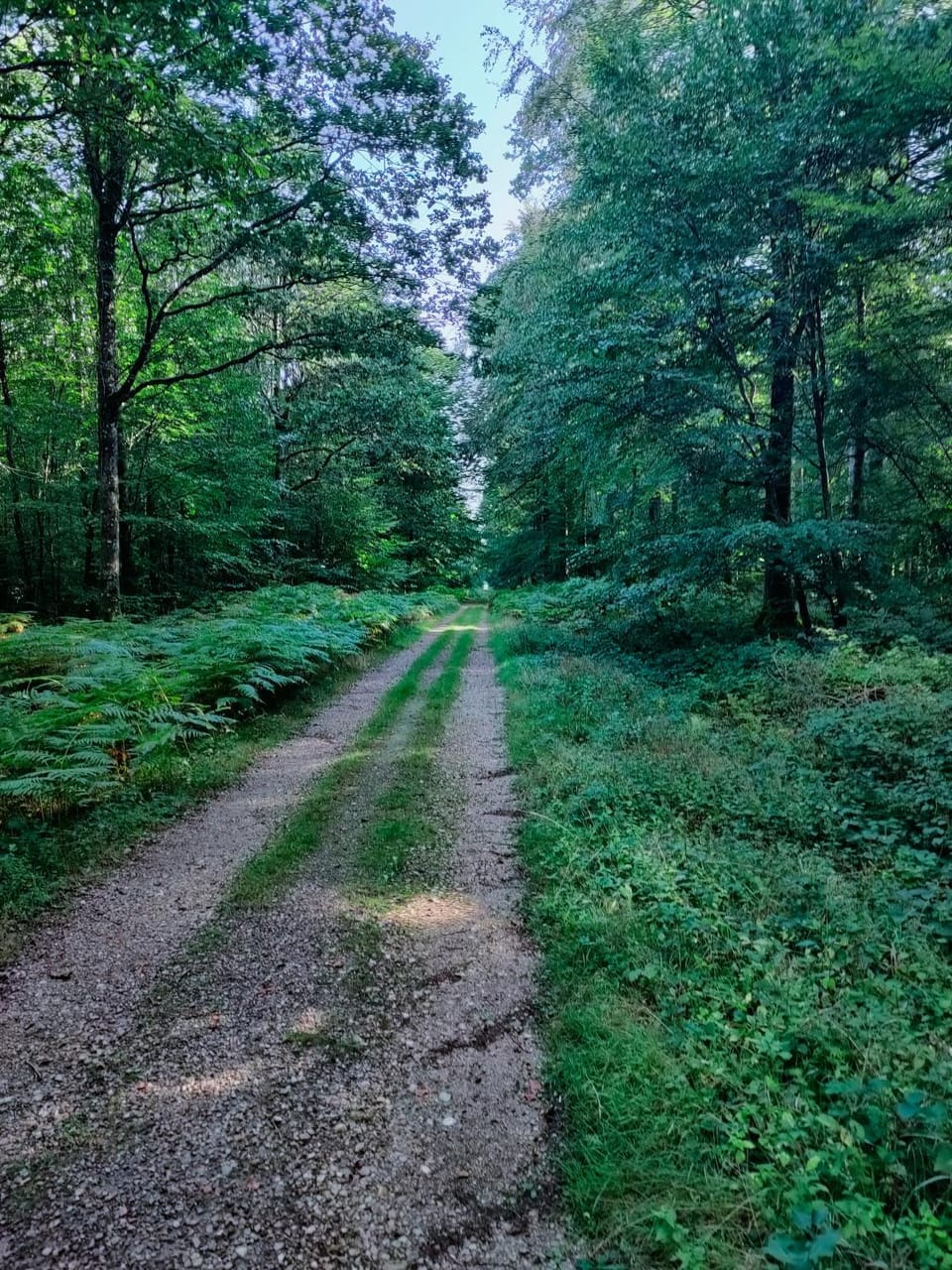 Natural landscape, Hiking