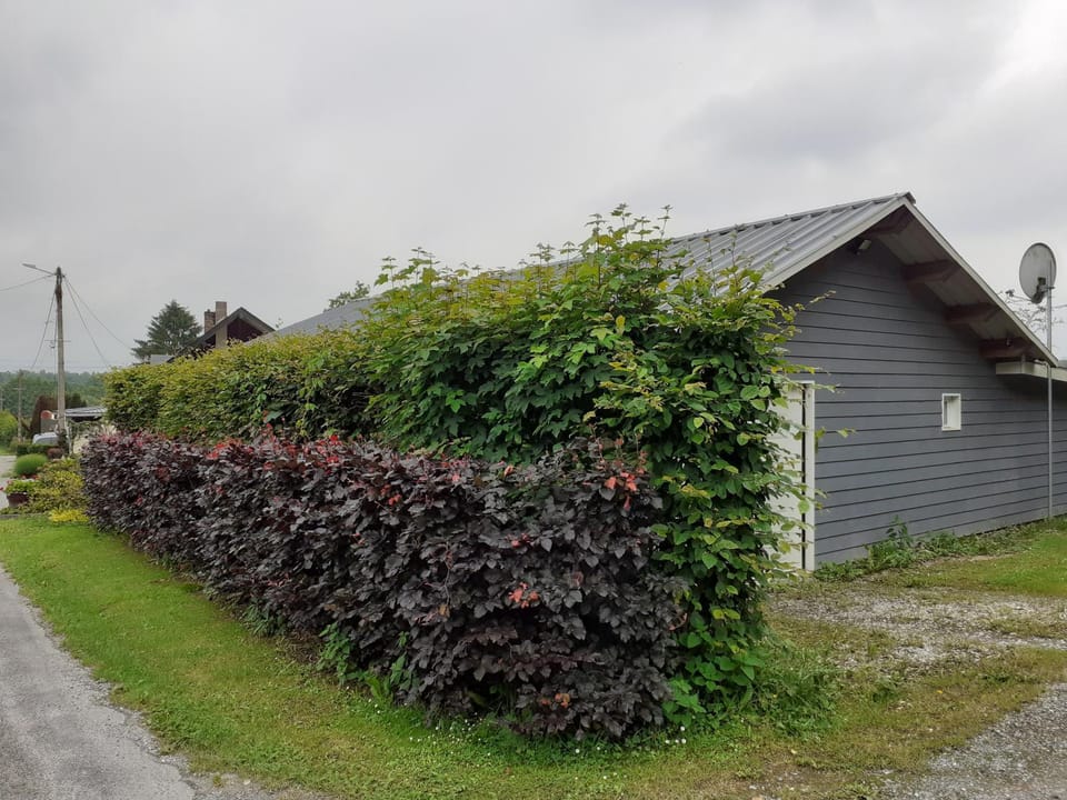 relais des tourterelles Bed and Breakfast in Wallonia, Belgium