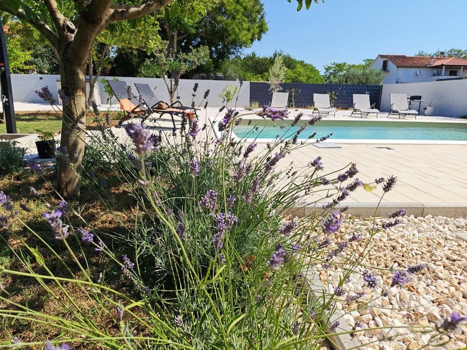 Holiday home Eden House in Zadar County