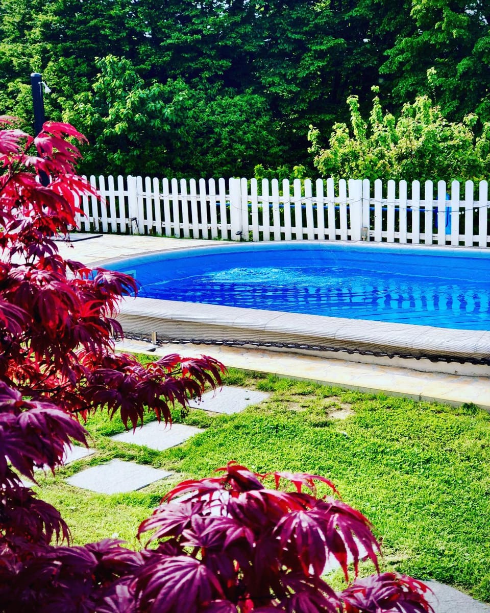 Spring, Day, Garden, Pool view
