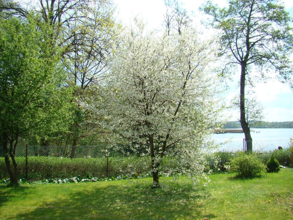 Natural landscape, Garden, Garden, Lake view, Lake view