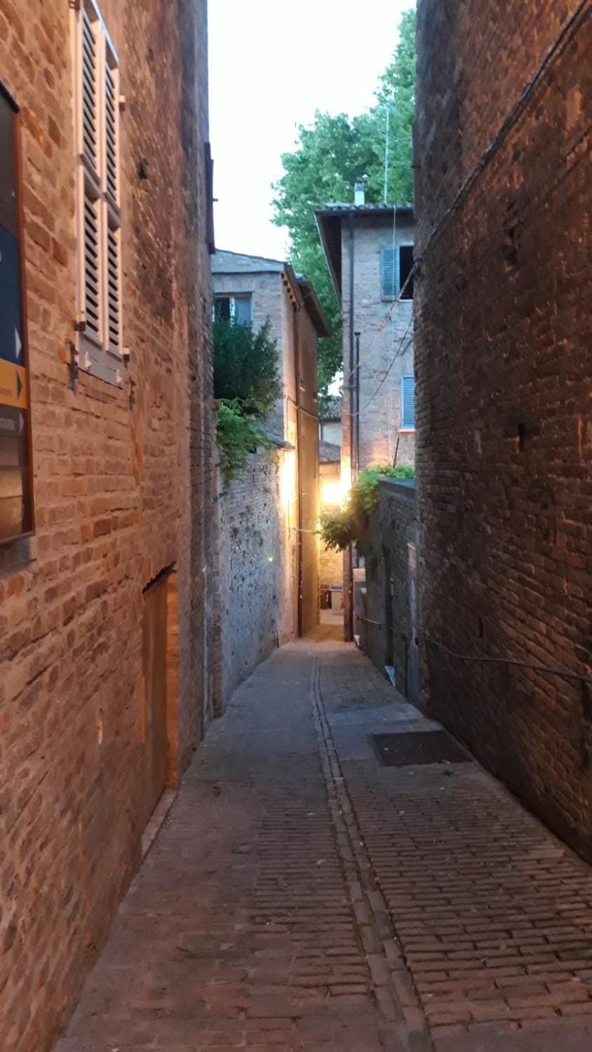 Appartamento tipico in Centro Storico Urbino Apartment in Urbino