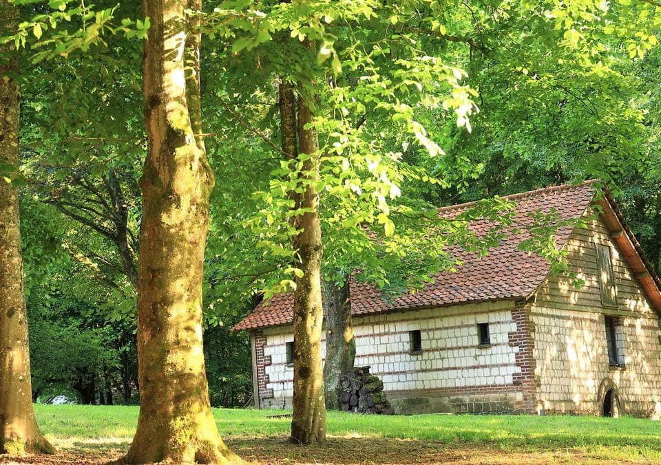 Garden, Bedroom