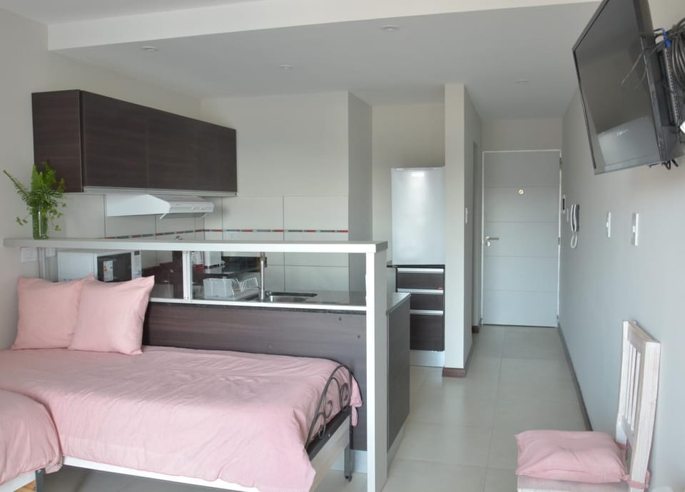 Monoambiente La Pitota Apartment in Parana